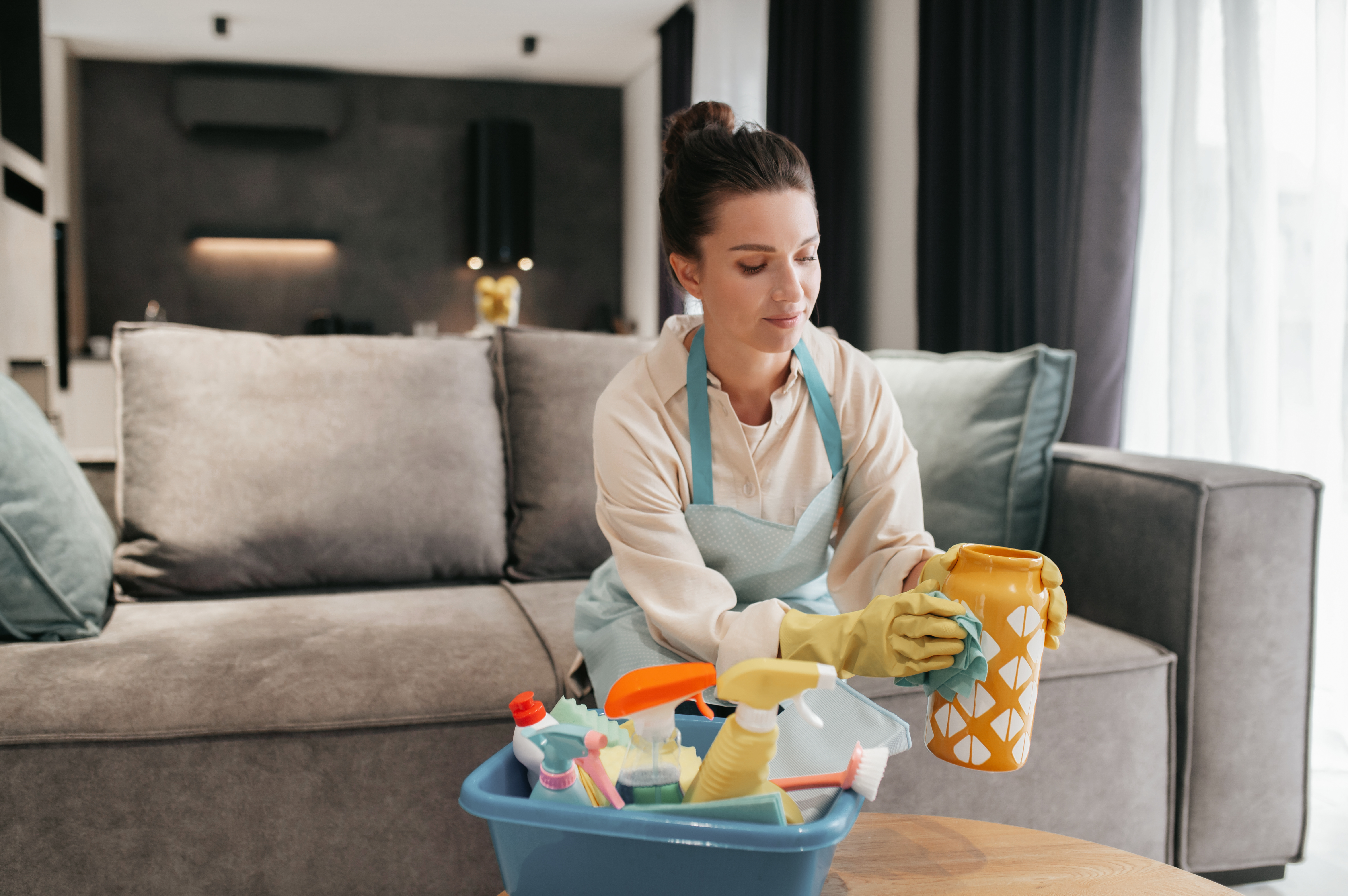 Regular House Cleaning